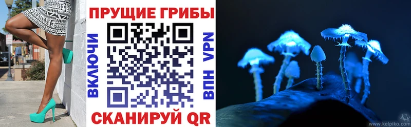 Галлюциногенные грибы MAGIC MUSHROOMS  Красноуральск 